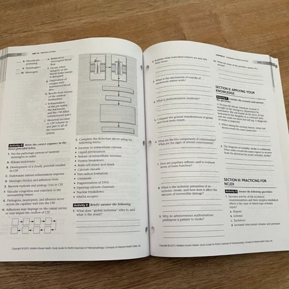 NEW Pathophysiology Study Guide Textbook - Picture 4 of 4